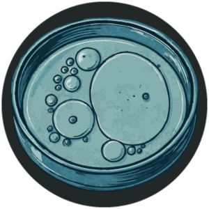 &alpha;-Glucan Oligosac&aacute;rido